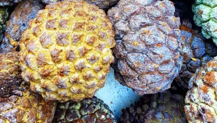 Conheça a fruta brasileira que é rica em vitamina C